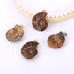 Ammonite Necklace