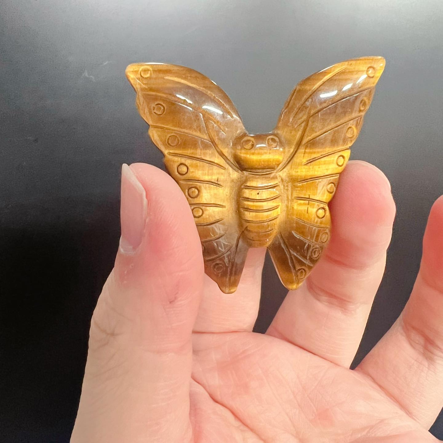 Ocean Jasper&Tiger Eye Butterfly