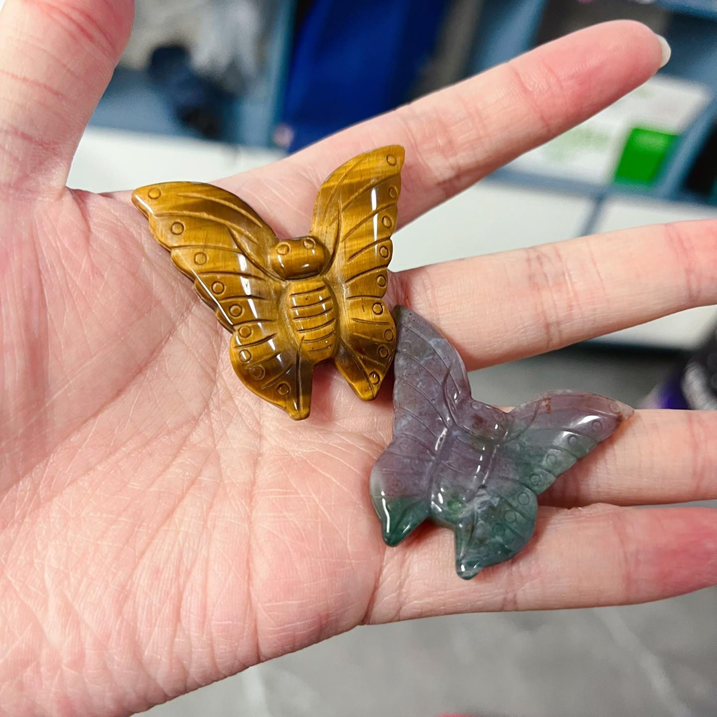 Ocean Jasper&Tiger Eye Butterfly