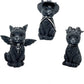 Halloween Cat Carving