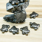 Pyrite Turtle