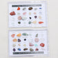 24 Mineral Ore Specimens Gemstone Box