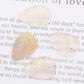 Small Leaf Pendant