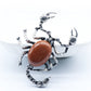 Crystal Scorpion Brooch & Pendant