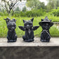 Halloween Cat Carving